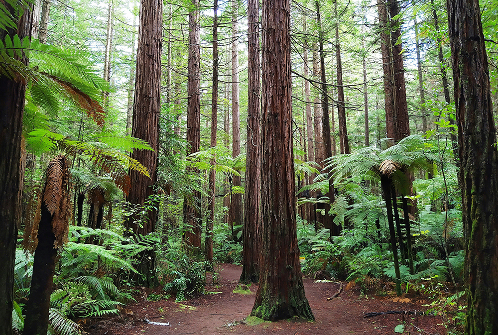 daniel-hopper-2Cz60cDTS6Q-unsplash