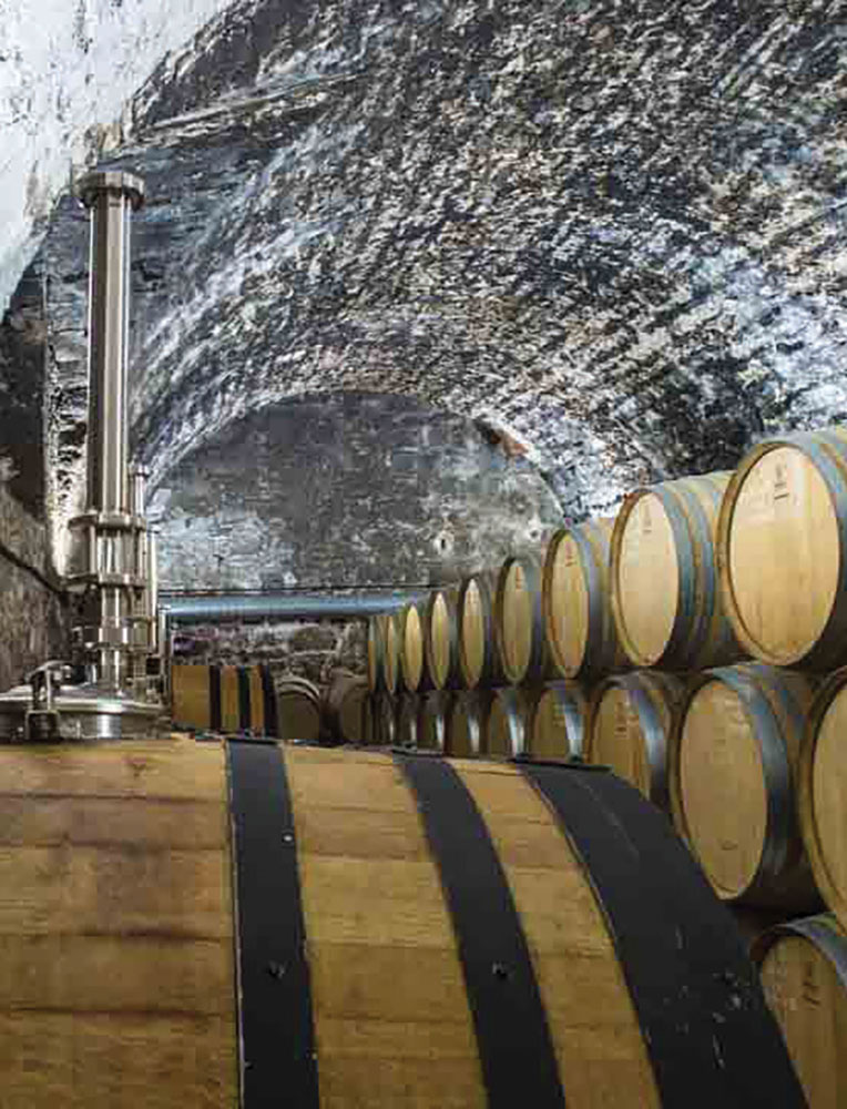 Verve August 2025 - Webbs-1 copy