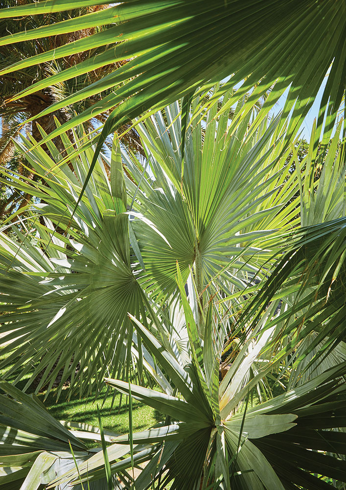 Bureaux_House_Vermaak_4 copy