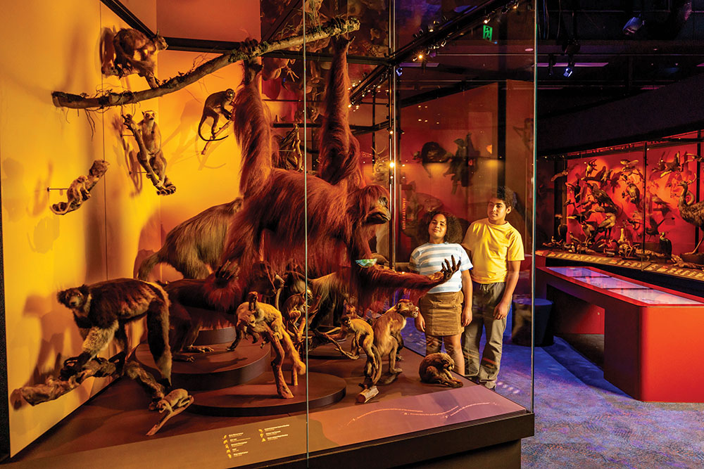 Melbourne Museum2 copy