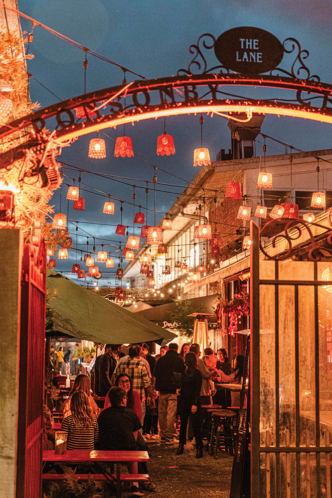 Ponsonby Central Laneway copy