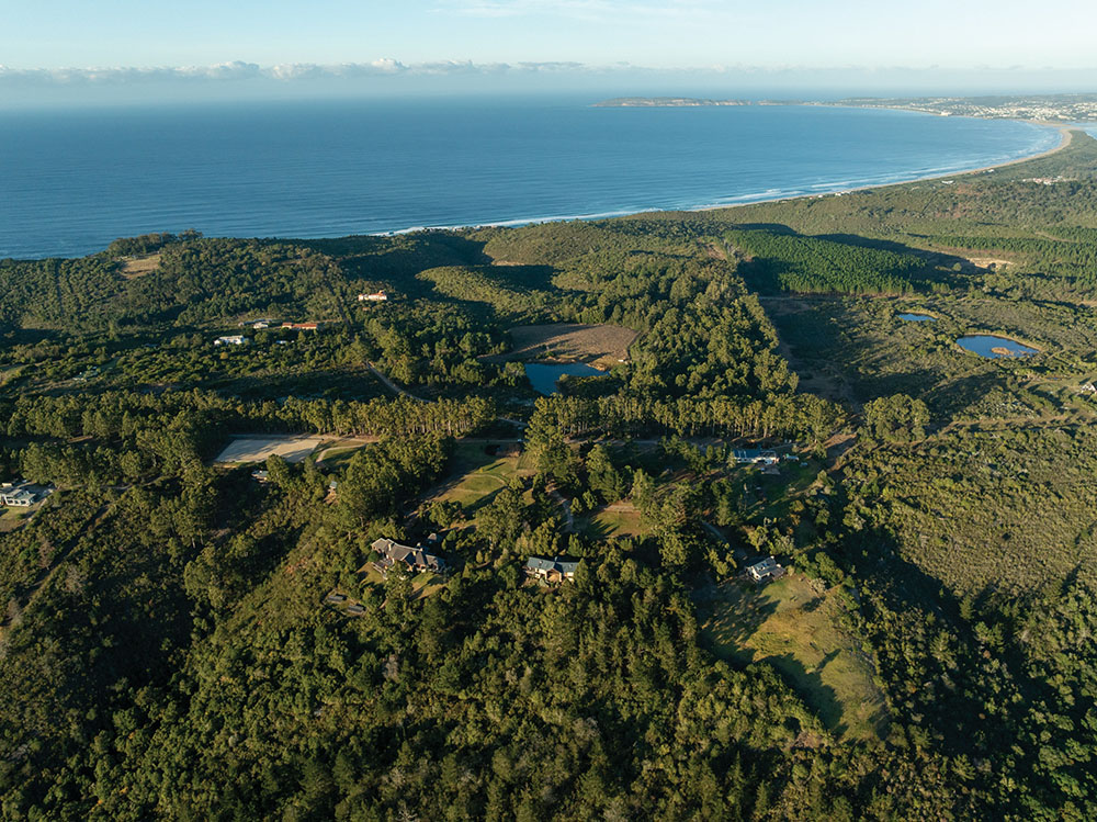 Tamodi Droneshot copy