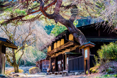 Nakasendo Road