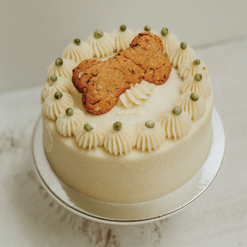 Cake & Co copy