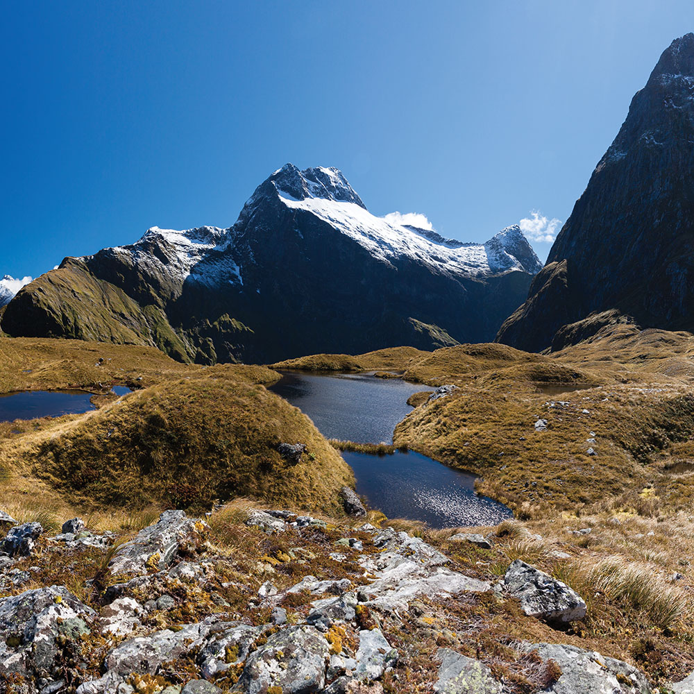 Milford Track, Aotearoa