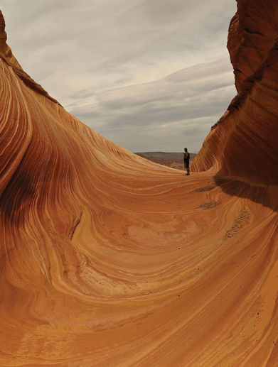 The Wave, USA