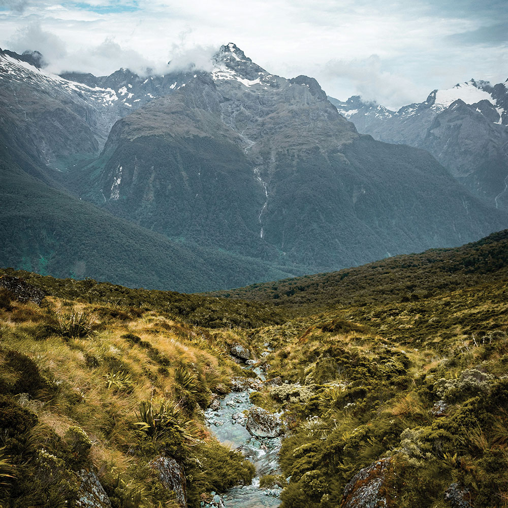 Routeburn Track, Aotearoa