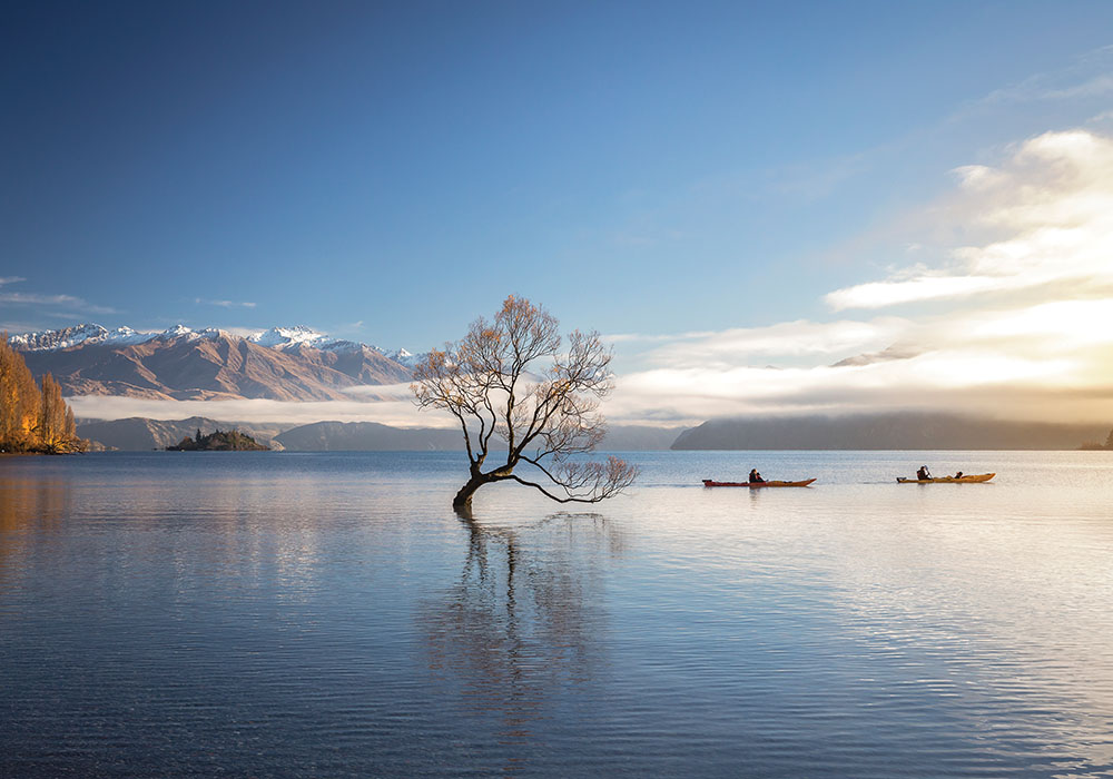 Wanaka Pure NZ 233254 copy Wanaka