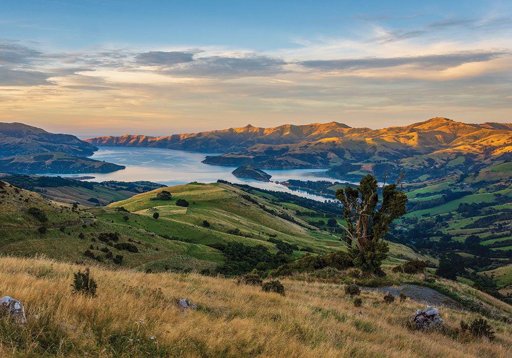 Canterbury Akaroa AdobeStock_491341250 copy