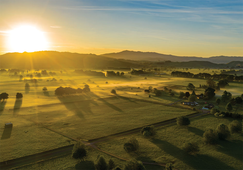 Cambridge Misty Waikato morning copy