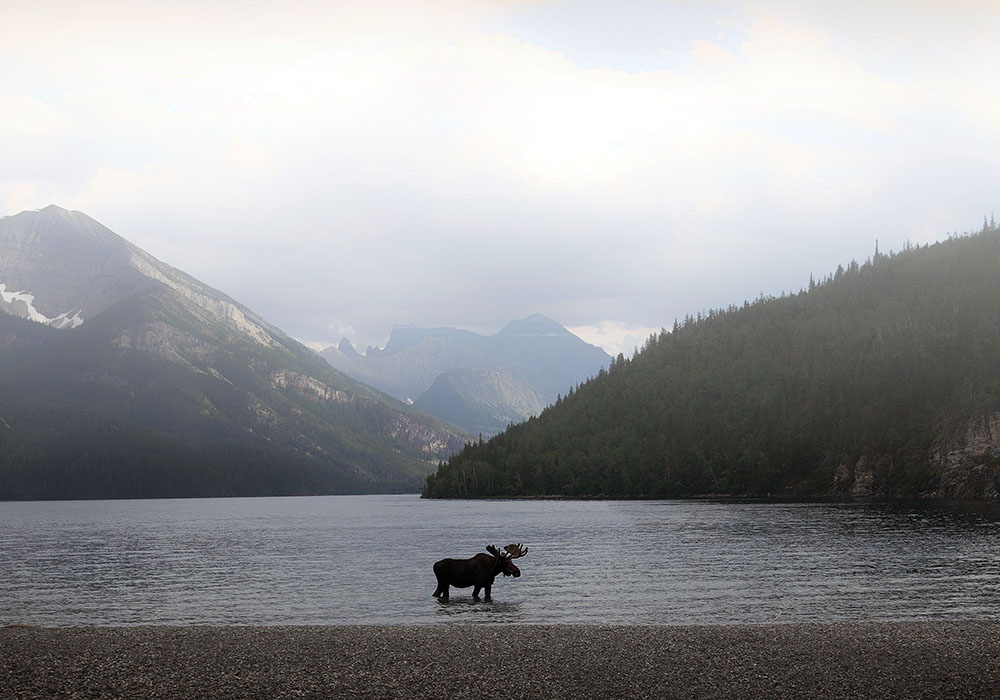 Canada AdobeStock_229893484 copy