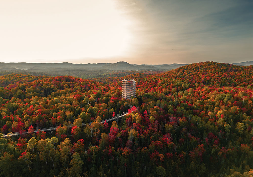Canada AdobeStock_663565554 copy
