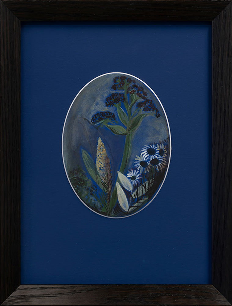 Julia Holderness, Campbell Island Flowers