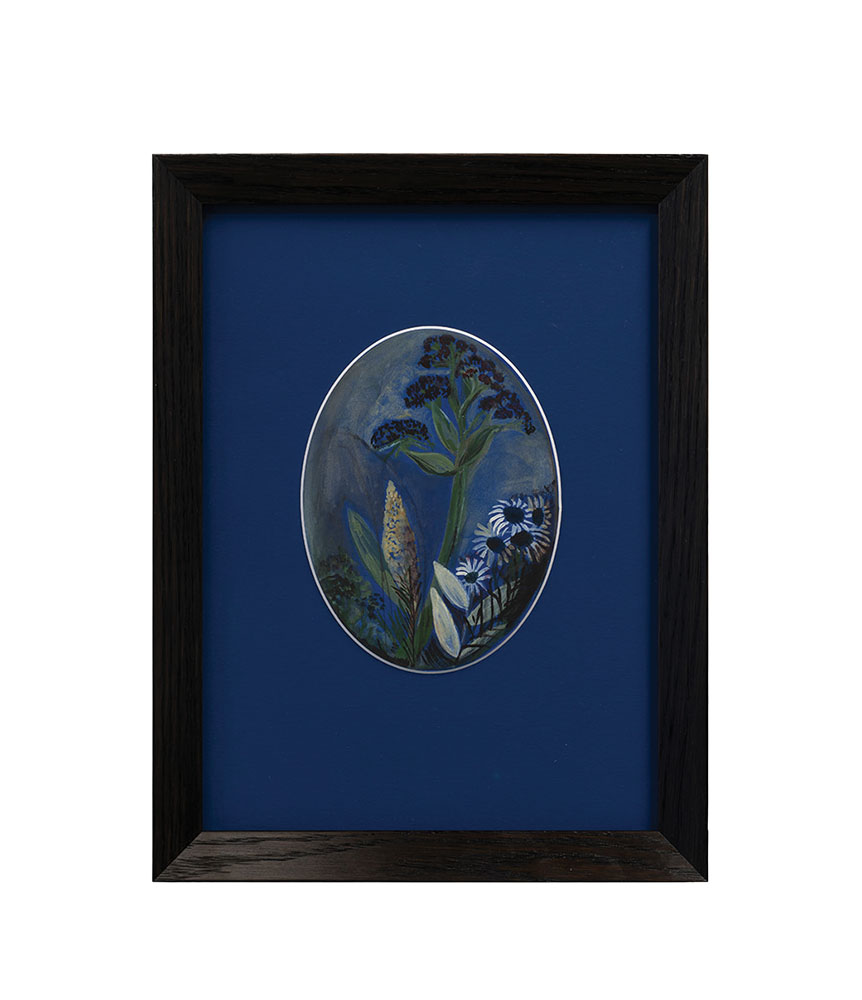Julia Holderness, Campbell Island Flowers - cameo, 2026, Watercolour on mat board, 330 x 250mm framed copy