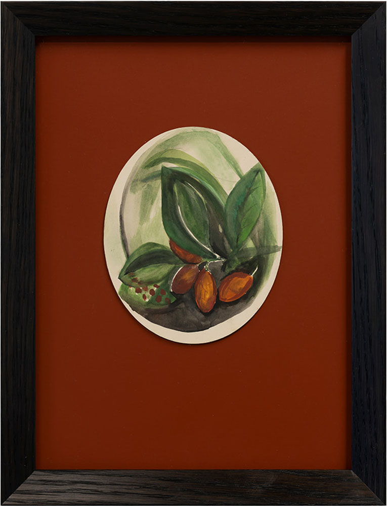 Julia Holderness, Karaka berries study - cameo, 2026, Watercolour on mat board, 330 x 250mm framed copy