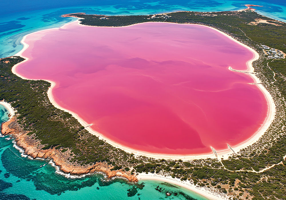LAKE HILLIER AdobeStock_1341640732 copy