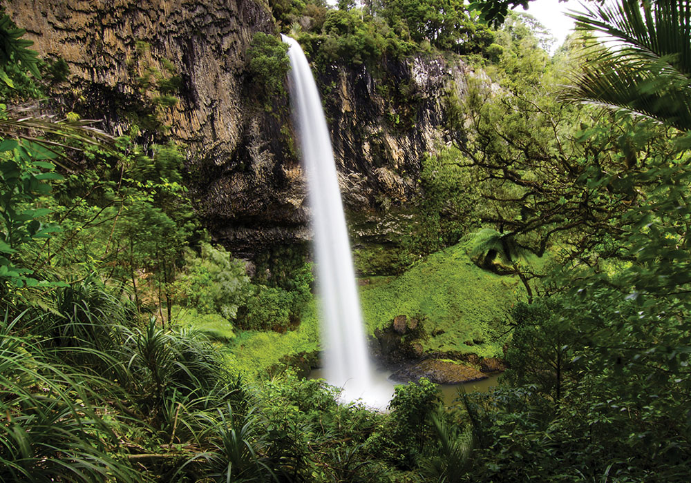 Waikato AdobeStock_321112689 copy