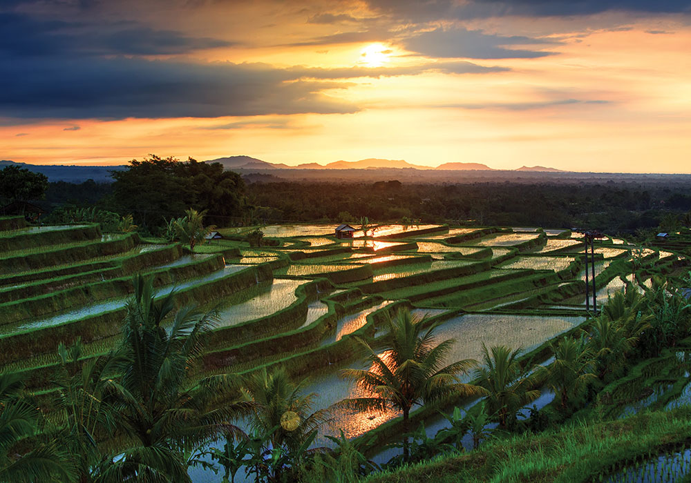 Indonesia AdobeStock_204689174 copy