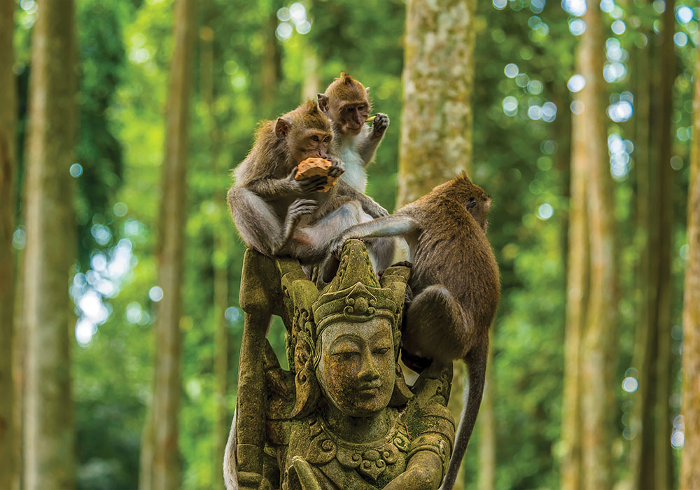 Indonesia AdobeStock_371511574 copy