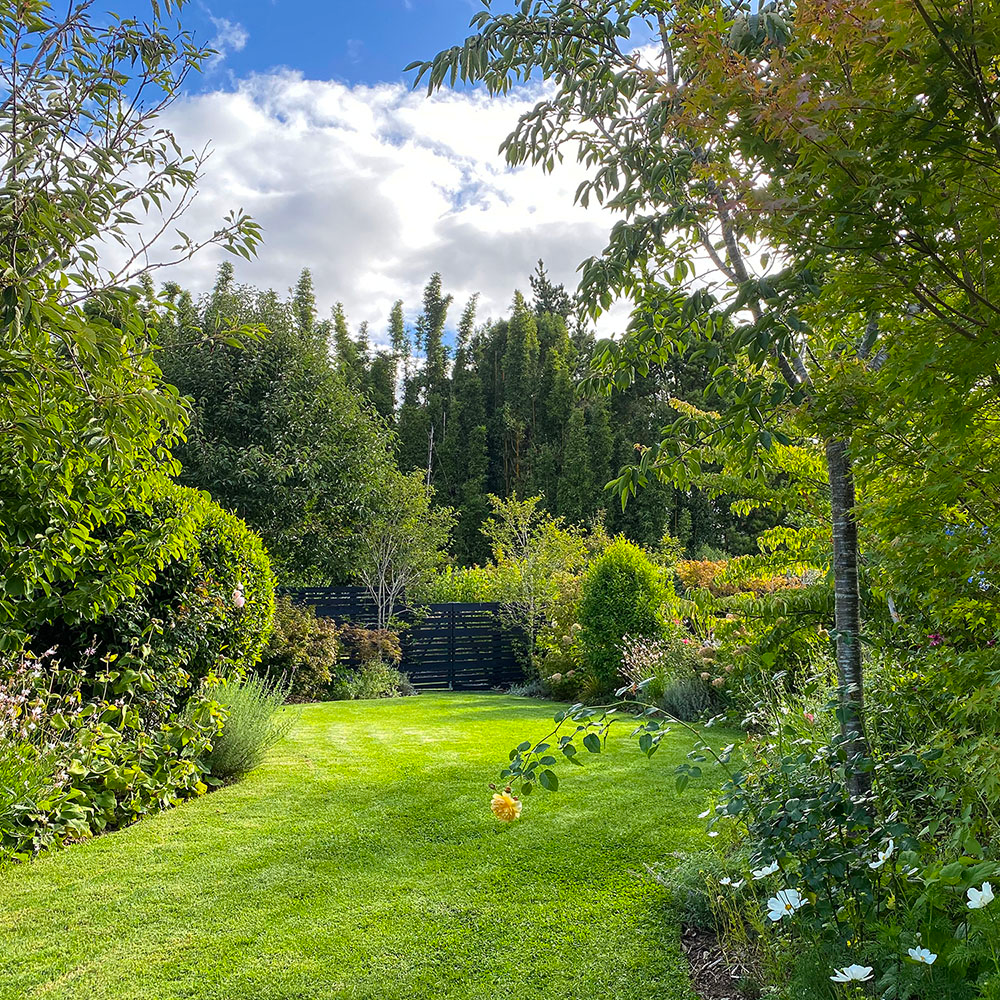 6 Spring Sunshine in the Gardens at Treghan Lodge 1 copy