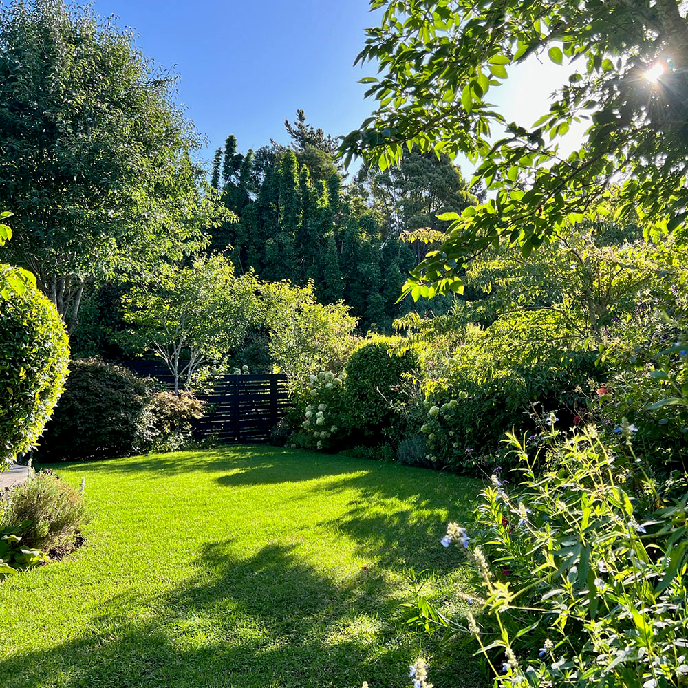 6 Spring Sunshine in the Gardens at Treghan Lodge 2 copy